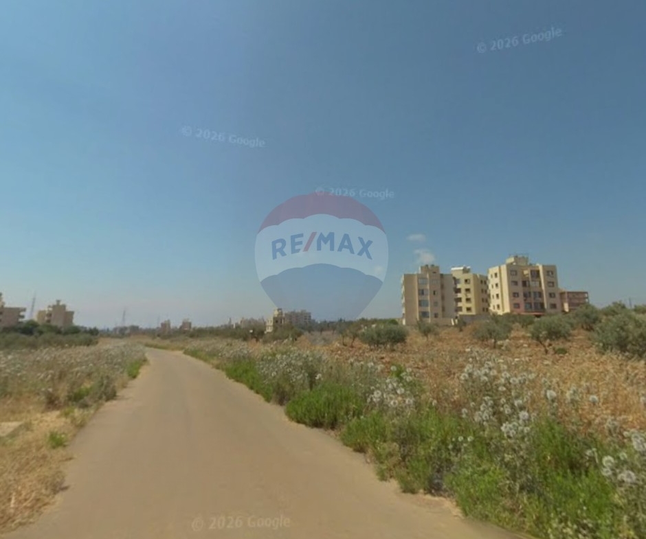 R9-3848أرض للبيع في أبو سمرا – طرابلس، 1,000 م²، سكنية، مزروعة بأشجار الزيتون — الصورة 3 من 3