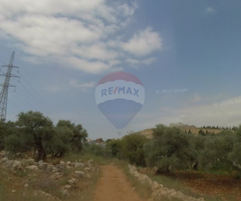 R9-3852 Land for Sale in Biqaa – Koura, 1,821 m², Residential Zoning 25/50أرض للبيع في بقيعة – الكورة، 1,821 م²، تصنيف سكني 25/50 — Photo 3 of 4