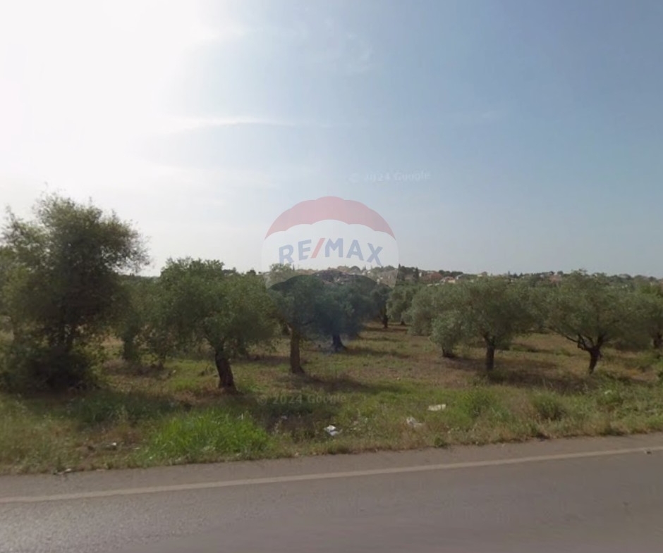 R9-3814 Lands for Sale in Btourram, Koura | 3,791 m² | 3 Plots with 30/60 Zoningأراضٍ للبيع في بترومين الكورة | 3,791 م² | 3 عقارات بتصنيف 30/60 — Photo 3 of 4