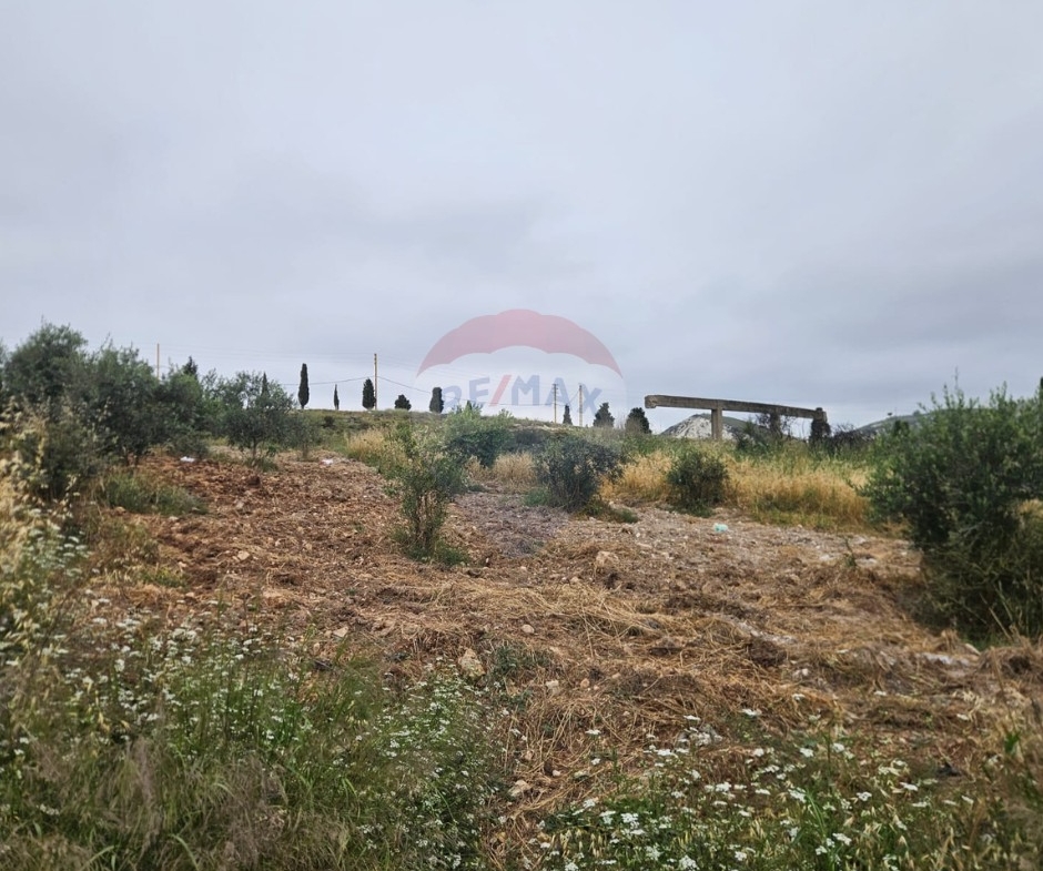 R9-3877  أرض سكنية للبيع في بشمزين – الكورة، 889 م²، تنظيم 20/40 — الصورة 3 من 4
