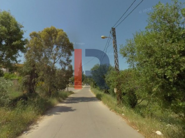 الصورة 1 من 4