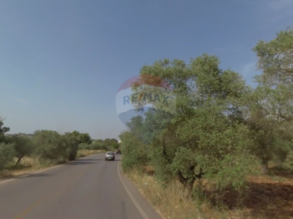 R9-3819  Land for Sale in Btorram – Koura, 1,550 m², Zoning 20/40 أرض للبيع في بطرام – الكورة، 1,550 م²، تصنيف 20/40 — Photo 2 of 5