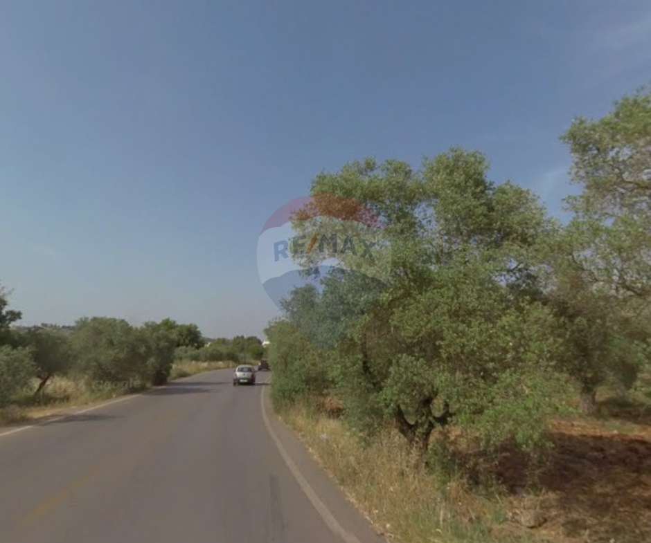 R9-3819  Land for Sale in Btorram – Koura, 1,550 m², Zoning 20/40 أرض للبيع في بطرام – الكورة، 1,550 م²، تصنيف 20/40 — Photo 2 of 5