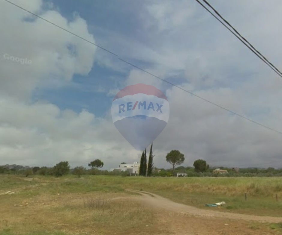 R9-3847 Agricultural Land for Sale in Amioun – Koura, with Olive Treesأرض زراعية للبيع في أميون – الكورة، مزروعة بـ 20 شجرة زيتون — Photo 4 of 4
