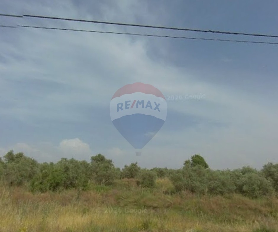R9-3814 Lands for Sale in Btourram, Koura | 3,791 m² | 3 Plots with 30/60 Zoningأراضٍ للبيع في بترومين الكورة | 3,791 م² | 3 عقارات بتصنيف 30/60 — Photo 4 of 4