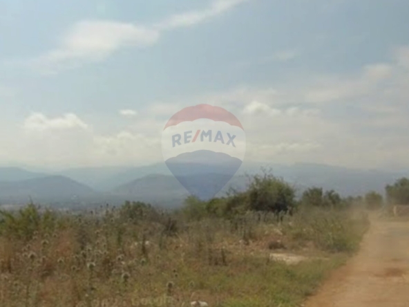 R9-3819  Land for Sale in Btorram – Koura, 1,550 m², Zoning 20/40 أرض للبيع في بطرام – الكورة، 1,550 م²، تصنيف 20/40 — Photo 3 of 5