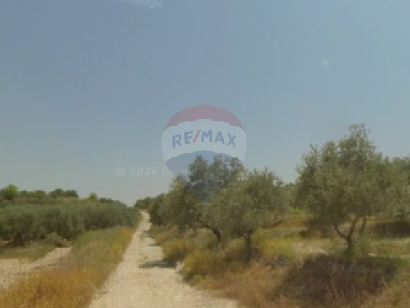R9-3821 أرض للبيع في بزيزا – الكورة، 20,000 م²، زراعية وسكنية — الصورة 3 من 5