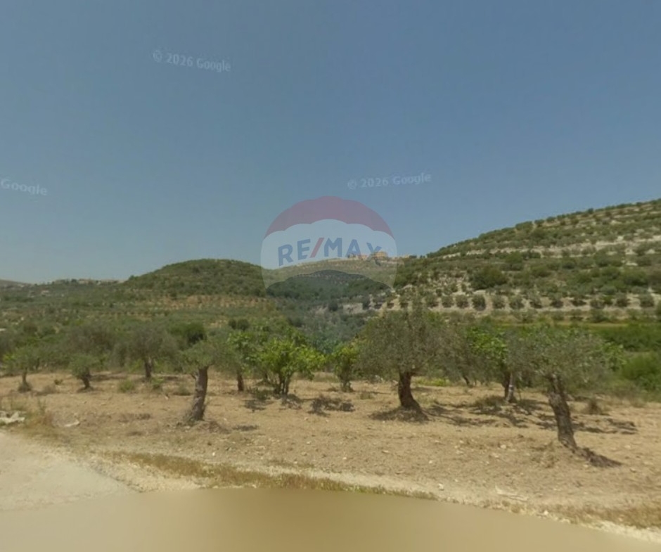 R9-3821 أرض للبيع في بزيزا – الكورة، 20,000 م²، زراعية وسكنية — الصورة 5 من 5