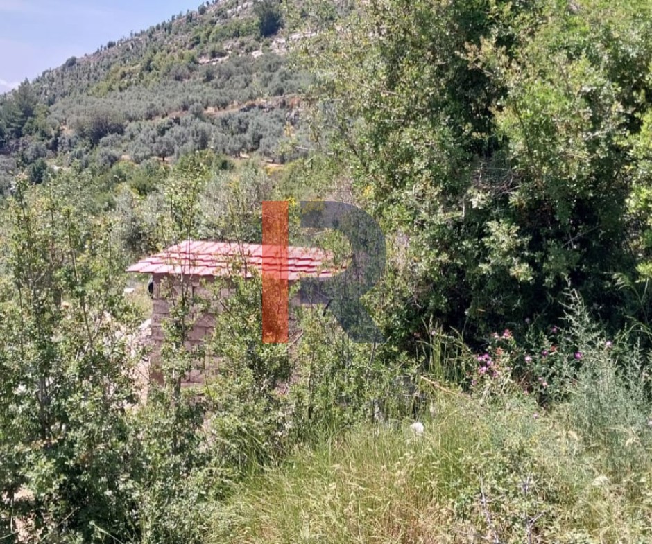 R9-3813  Land for Sale in Hadtoun – Keserwan, 1,565 m², Agriculturalأرض للبيع في حدتون – كسروان، 1,565 م²، زراعية — Photo 6 of 7