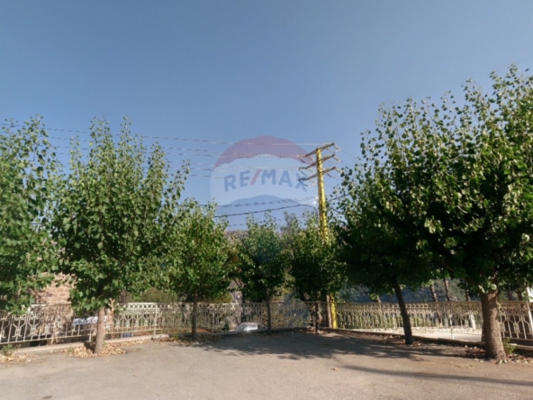 الصورة 1 من 3