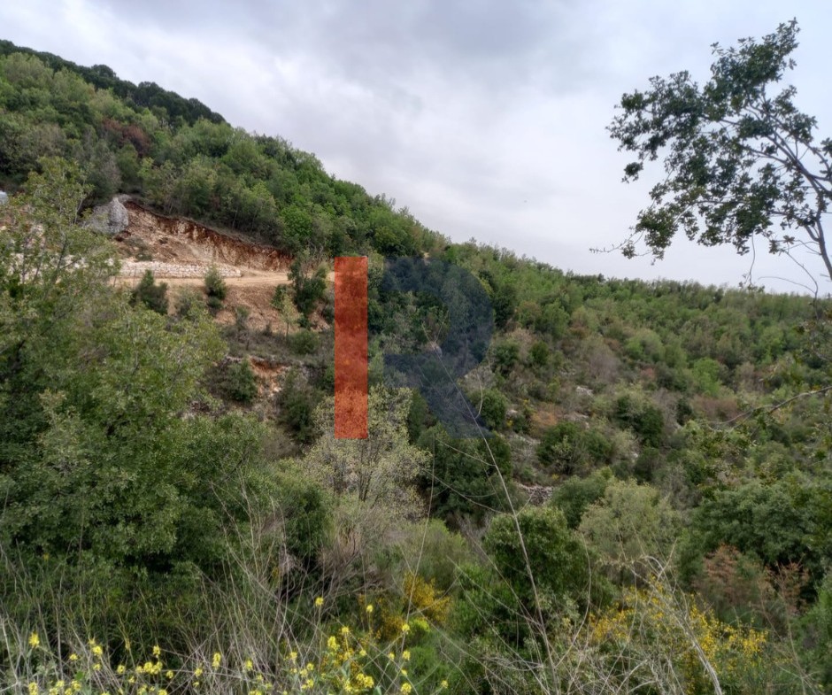 R9-3916 Land for Sale in Racha – Batroun, 2,000 m², Zoning 25/50 — Photo 2 of 2