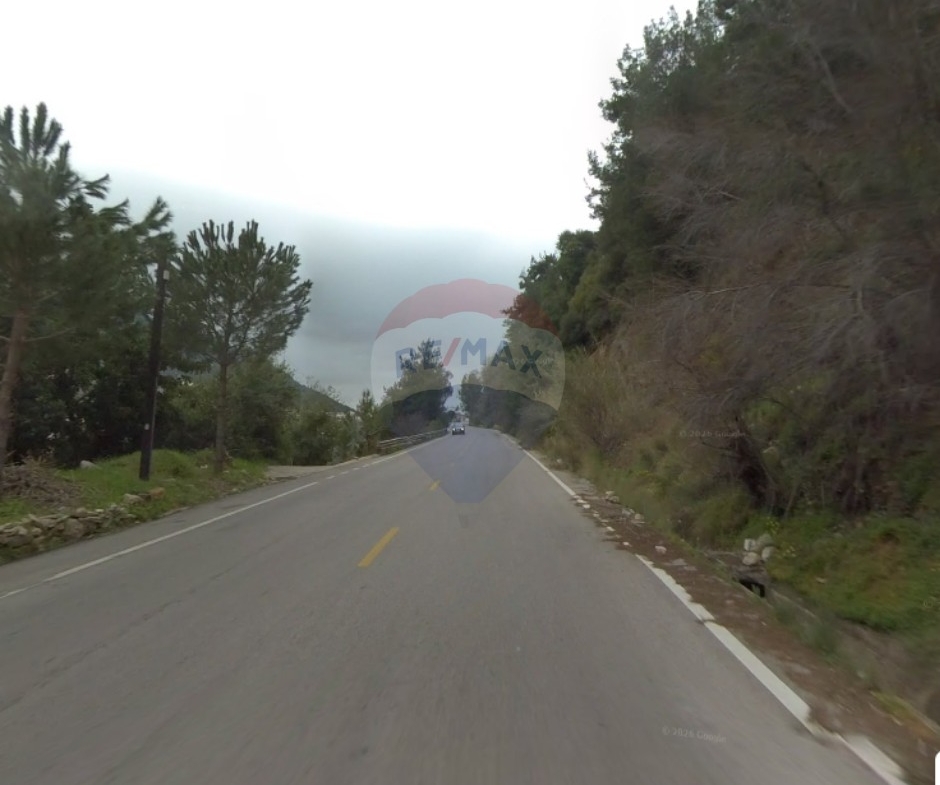 R9-3951 Agricultural Land for Sale in Ser3el – Zgharta, 7,000 m², Olive & Pine Trees, Zoning 2 أرض زراعية للبيع في سرعل – زغرتا، 7,000 م²، زيتون وصنوبر، تصنيف 2 — Photo 2 of 3