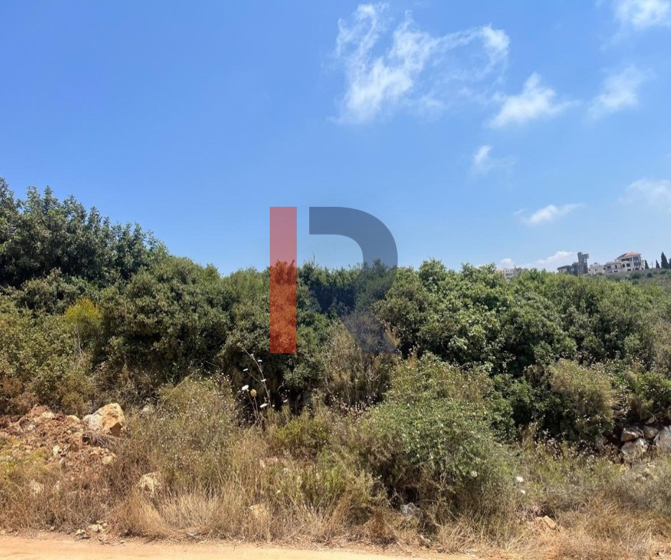 R9-3961 أرض سكنية 1200م² للبيع في دده الكورة | إطلالة بحرية وجبلية — الصورة 3 من 4