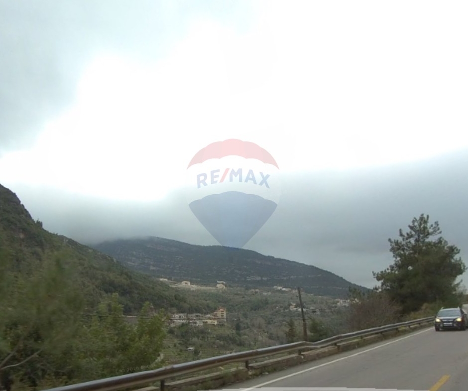 R9-3951 Agricultural Land for Sale in Ser3el – Zgharta, 7,000 m², Olive & Pine Trees, Zoning 2 أرض زراعية للبيع في سرعل – زغرتا، 7,000 م²، زيتون وصنوبر، تصنيف 2 — Photo 3 of 3