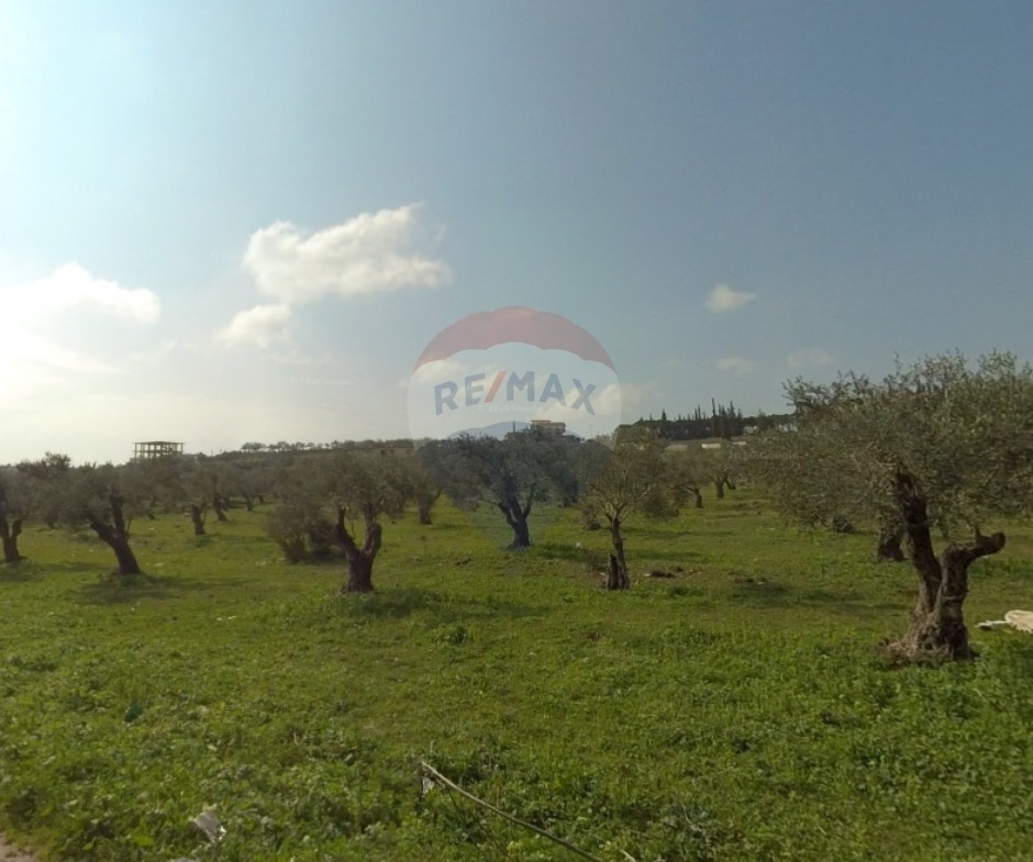 R9-3963 16,626m² Land for Sale in Mejdlaya | 30/60 Zoning | Ideal for 30-Villa Residential Projectأرض للبيع في مجدليا 16,626 م² | تصنيف 30/60 | مناسبة لمشروع يضم 30 فيلا — Photo 3 of 3
