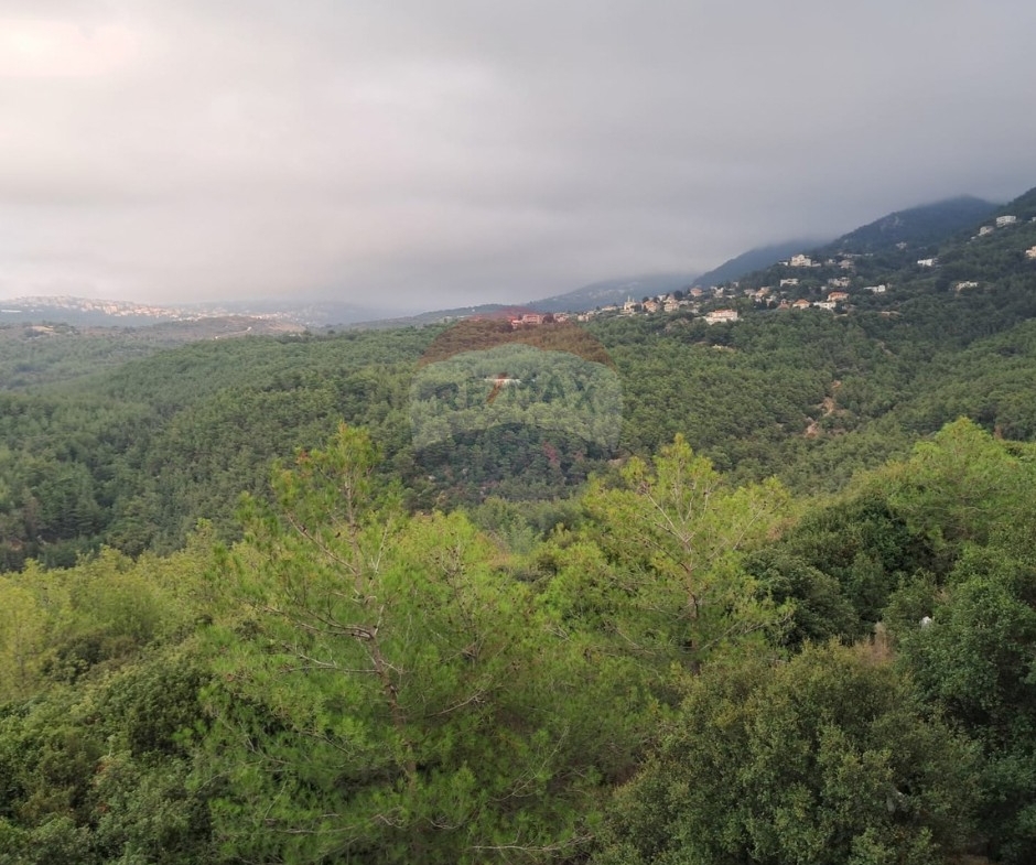 R9-3994 Land for Sale in Karm Saddeh Zgharta | 4,000 m² | 25/50 Zoningأرض للبيع في كرم سده زغرتا | 4,000 م² | تصنيف 25/50 — Photo 1 of 4