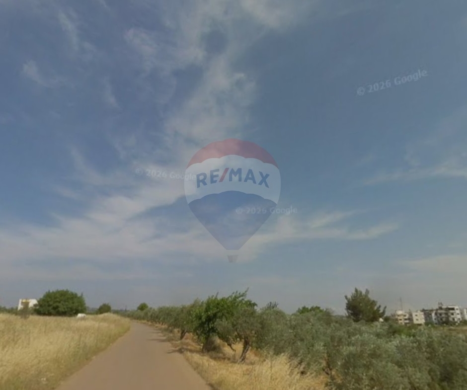 R9-4000 Agricultural Land for Sale in Bterram Koura | 735 m² with Olive Treesأرض زراعية للبيع في بترام الكورة | 735 م² مزروعة بأشجار الزيتون — Photo 1 of 3