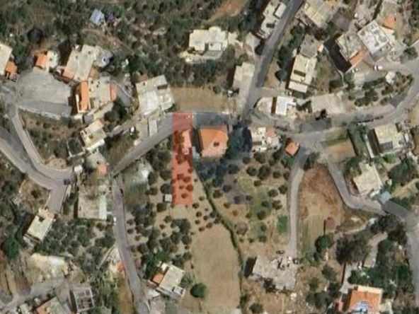 الصورة 1 من 4