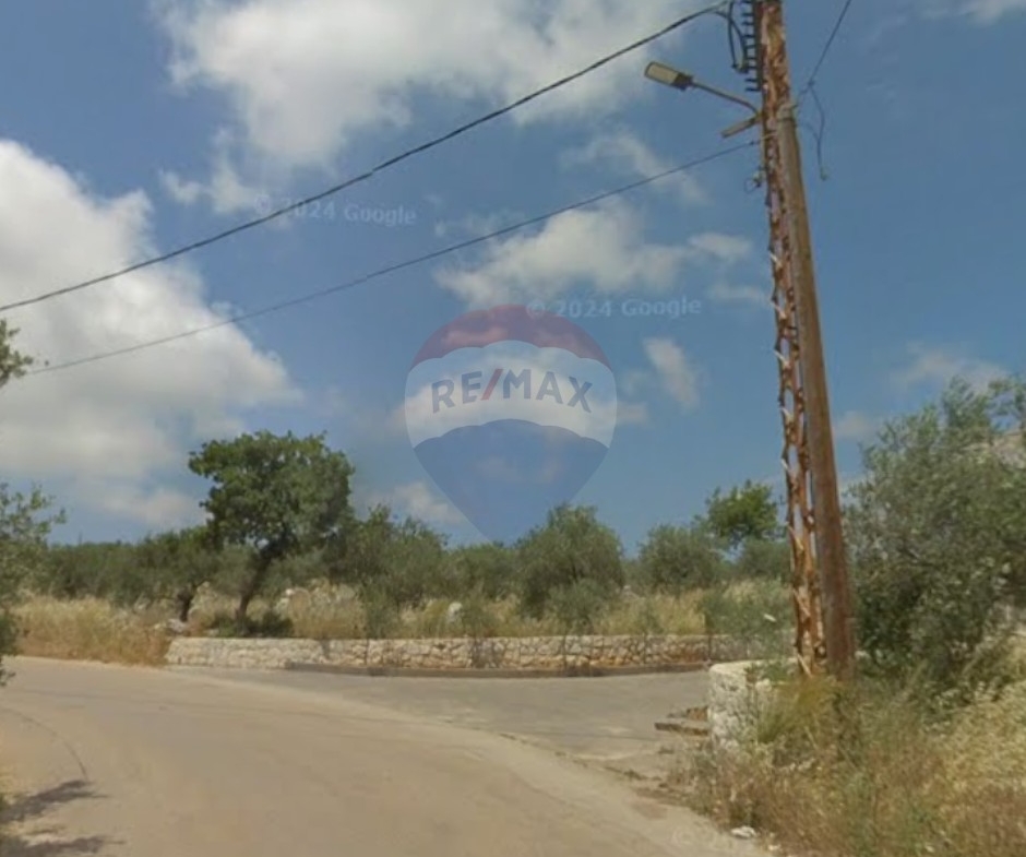 R9-4016 Prime Land for Sale in Batroumine Koura | 3,700 m² | 15/30 Zoningأرض للبيع في بترومين الكورة | 3,700 م² | تصنيف 15/30 — Photo 1 of 3