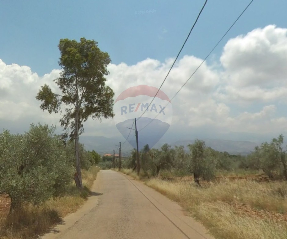 R9-3991 Land for Sale in Batroumine Koura | 1,800 m² | 15/30 Zoningأرض للبيع في بترومين الكورة | 1,800 م² | تصنيف 15/30 — Photo 2 of 3