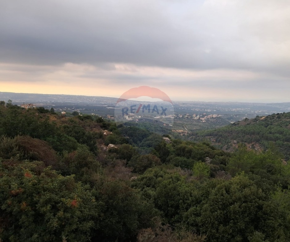 R9-3994 Land for Sale in Karm Saddeh Zgharta | 4,000 m² | 25/50 Zoningأرض للبيع في كرم سده زغرتا | 4,000 م² | تصنيف 25/50 — Photo 2 of 4