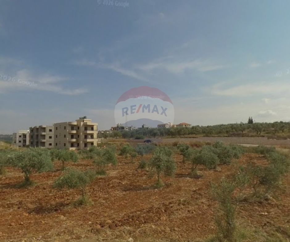 R9-4000 Agricultural Land for Sale in Bterram Koura | 735 m² with Olive Treesأرض زراعية للبيع في بترام الكورة | 735 م² مزروعة بأشجار الزيتون — Photo 2 of 3