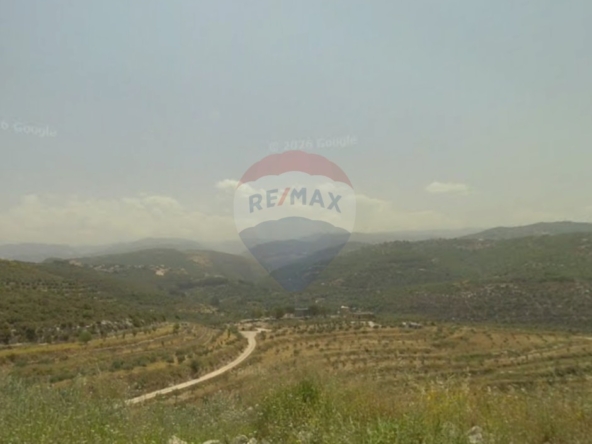 الصورة 1 من 4