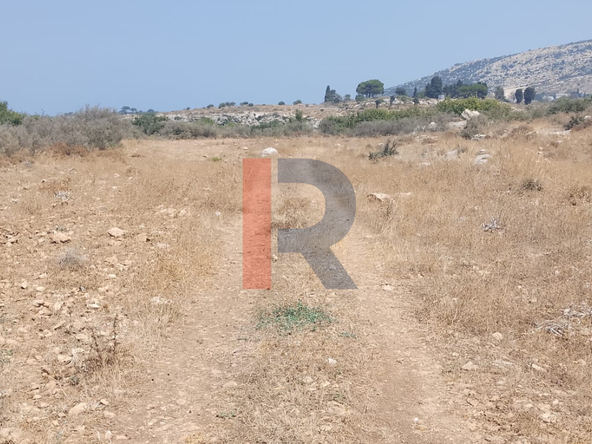 R9-4060 4,900m² Agricultural & Residential Land for Sale in Barghoun Koura — Photo 2 of 6