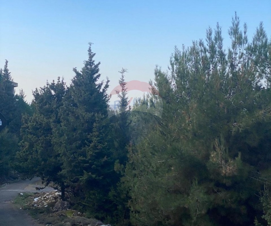 R9-3973 Land for Sale in Assoun Danniyeh | 999 m² | 25/50أرض للبيع في عاصون الضنية | 999 م² | تصنيف 25/50 — Photo 2 of 3