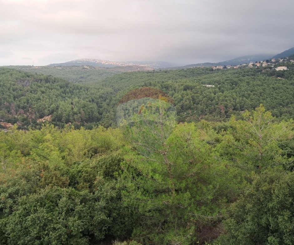R9-3994 Land for Sale in Karm Saddeh Zgharta | 4,000 m² | 25/50 Zoningأرض للبيع في كرم سده زغرتا | 4,000 م² | تصنيف 25/50 — Photo 3 of 4