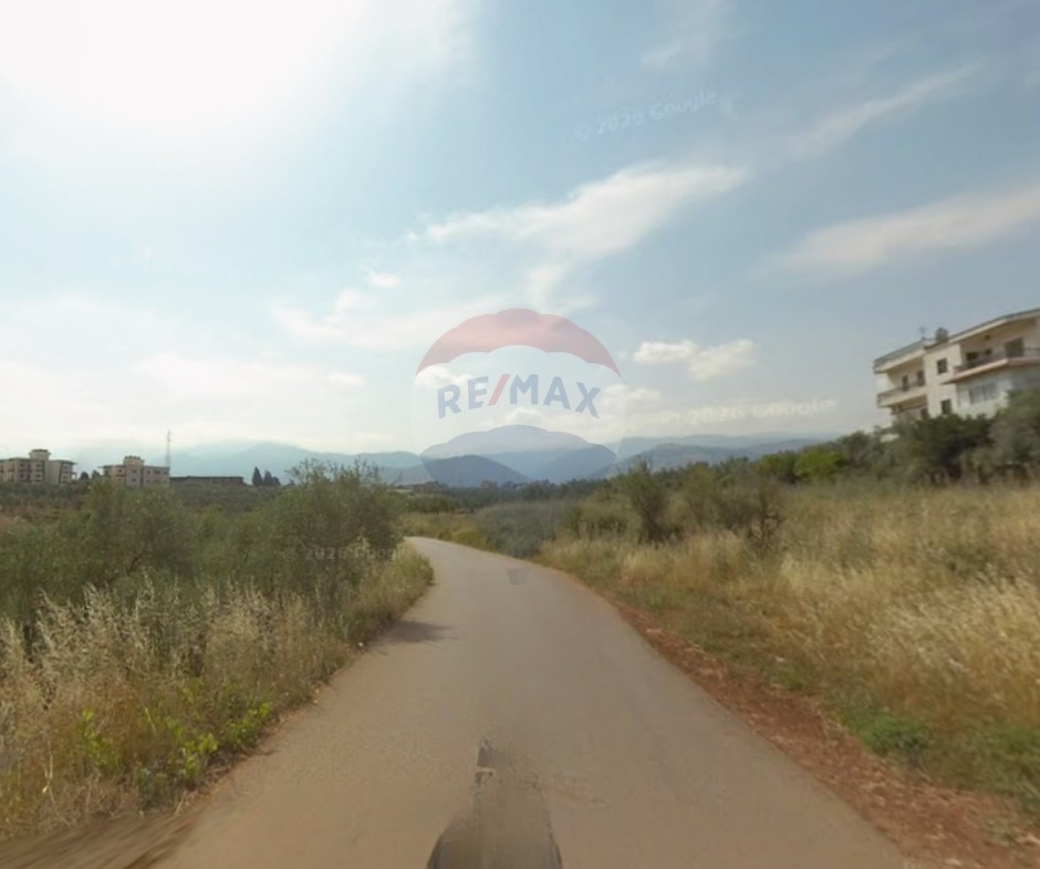 R9-4000 Agricultural Land for Sale in Bterram Koura | 735 m² with Olive Treesأرض زراعية للبيع في بترام الكورة | 735 م² مزروعة بأشجار الزيتون — Photo 3 of 3