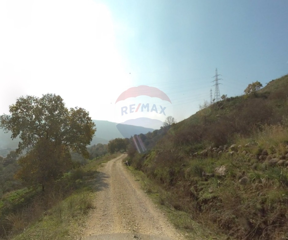 R9-4005 Land for Sale in Charbila Akkar | 16,700 m² | Ideal for Guest House & Tourism Projectأرض للبيع في شربيلا عكار | 16,700 م² | مناسبة لبيوت الضيافة والمشاريع السياحية — Photo 3 of 3