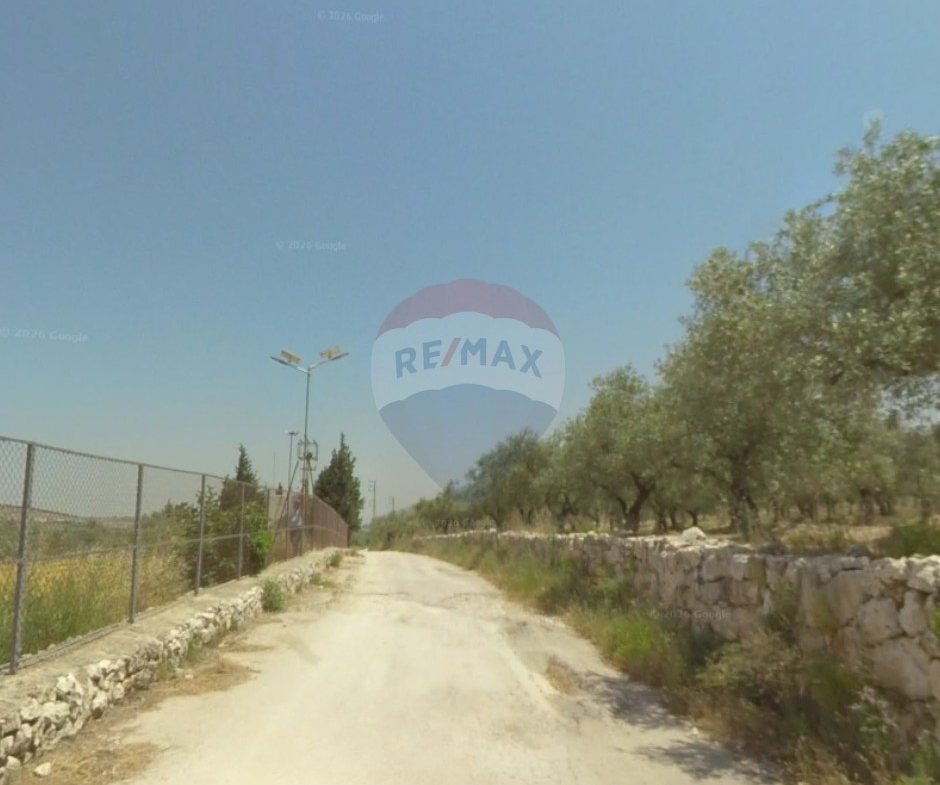 R9-4009 Agricultural Land for Sale in Amioun Bziza Koura | 1,824 m²أرض زراعية للبيع في أميون بزيزا الكورة | 1,824 م² — Photo 3 of 3