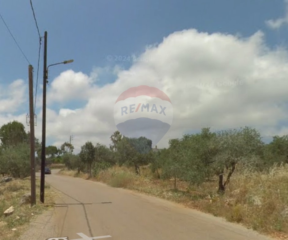 R9-4016 Prime Land for Sale in Batroumine Koura | 3,700 m² | 15/30 Zoningأرض للبيع في بترومين الكورة | 3,700 م² | تصنيف 15/30 — Photo 3 of 3