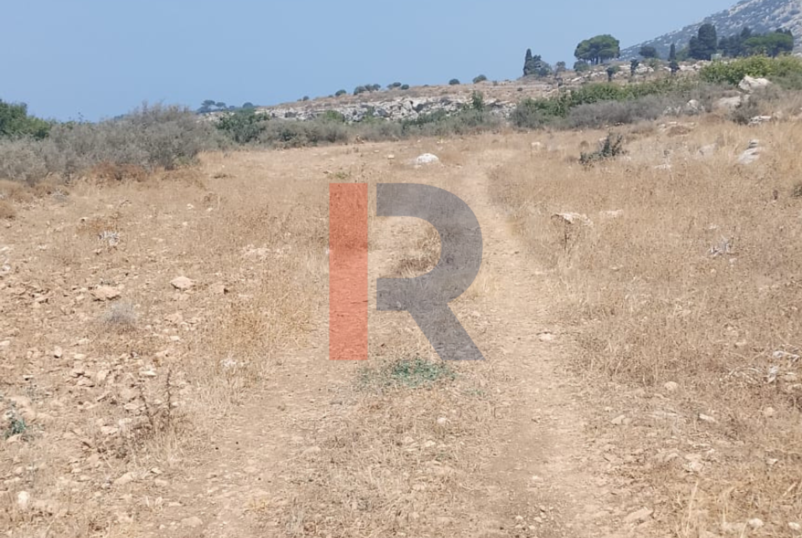 R9-4060 4,900m² Agricultural & Residential Land for Sale in Barghoun Koura — Photo 3 of 6