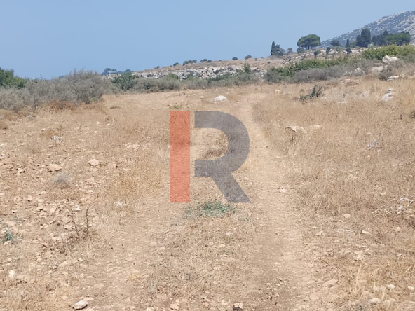 R9-4060 4,900m² Agricultural & Residential Land for Sale in Barghoun Koura — Photo 3 of 6