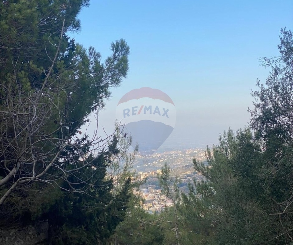 R9-3973 Land for Sale in Assoun Danniyeh | 999 m² | 25/50أرض للبيع في عاصون الضنية | 999 م² | تصنيف 25/50 — Photo 3 of 3