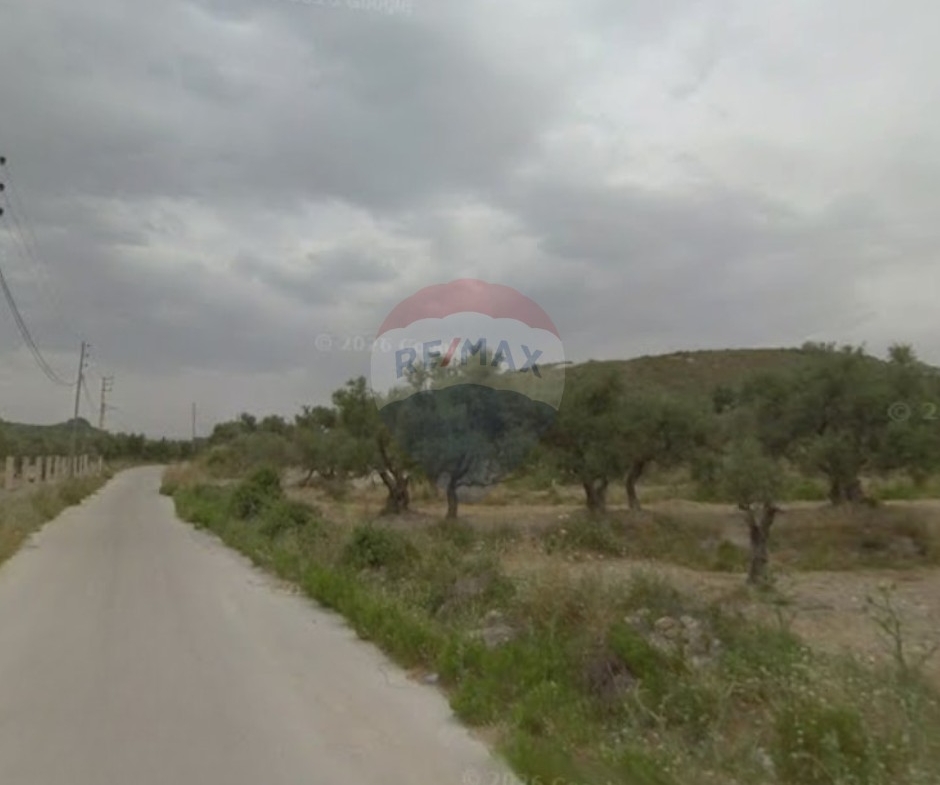 R9-4015 Land for Sale in Barghoun Koura | 804 m² | Peaceful & Serene Locationأرض للبيع في برغون الكورة | 804 م² | منطقة هادئة وطبيعية — Photo 4 of 4