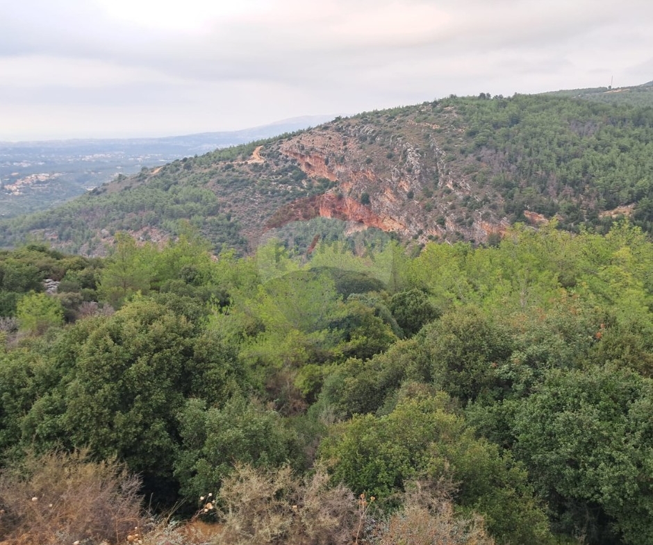 R9-3994 Land for Sale in Karm Saddeh Zgharta | 4,000 m² | 25/50 Zoningأرض للبيع في كرم سده زغرتا | 4,000 م² | تصنيف 25/50 — Photo 4 of 4