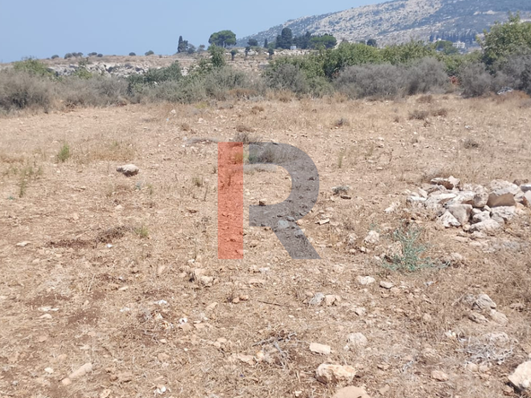 R9-4060 4,900m² Agricultural & Residential Land for Sale in Barghoun Koura — Photo 5 of 6