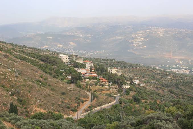 R9-3981 أرض زراعية للبيع في حرف أردة أوفار | 12,000 م² مع 250 شجرة زيتون — الصورة 3 من 3