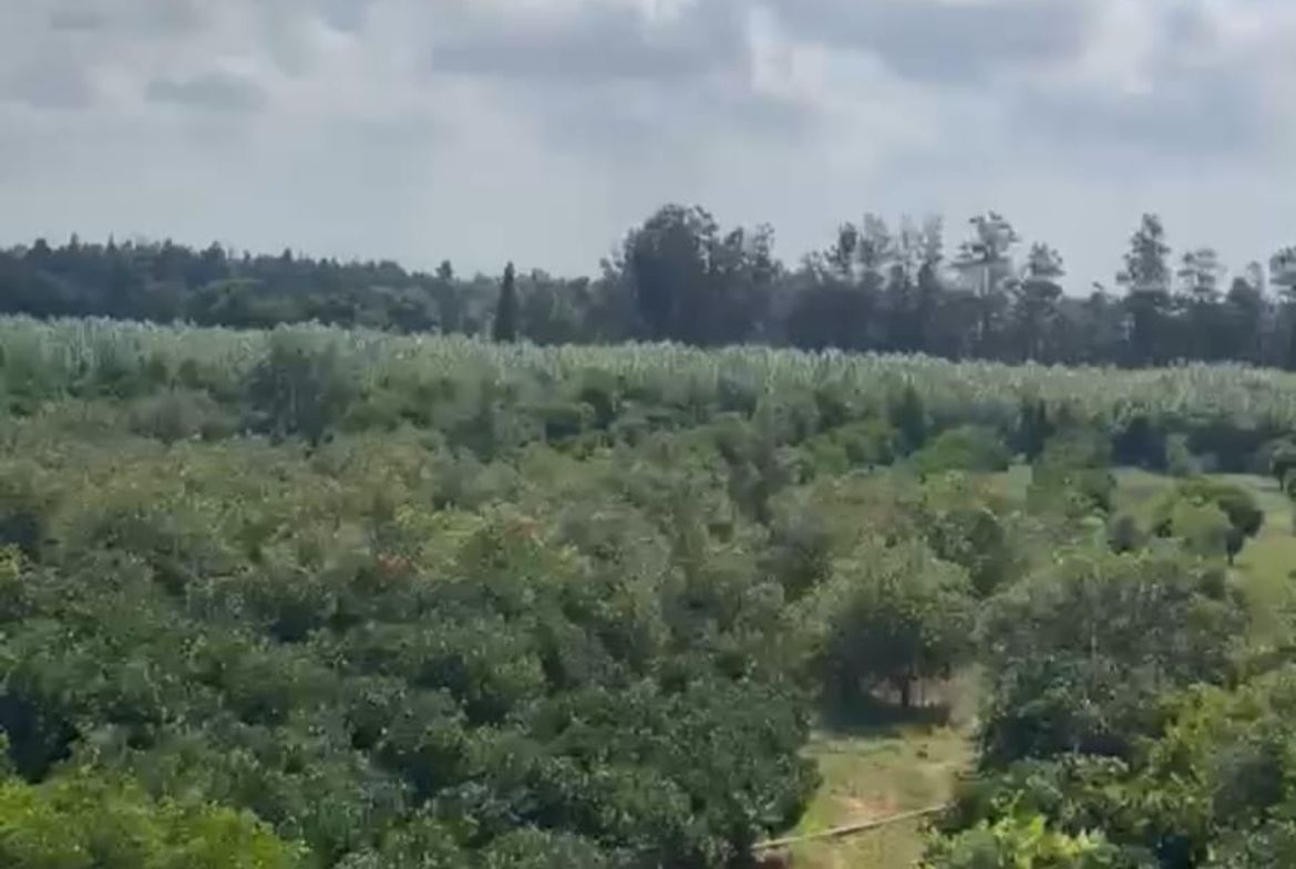 R9-4054 77,000m² Land Estate for Sale in Semekiyeh Akkar | With Building & Solar Power — Photo 3 sur 3