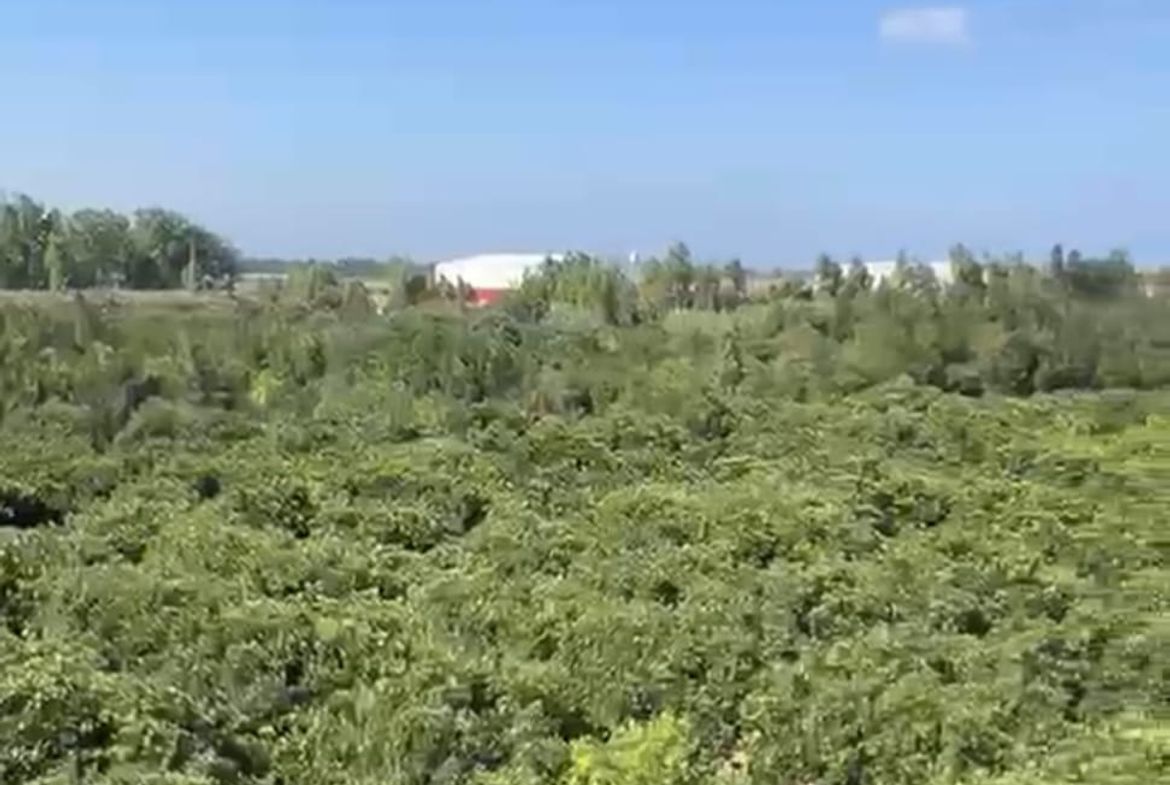 R9-4054 77,000m² Land Estate for Sale in Semekiyeh Akkar | With Building & Solar Power — Photo 2 sur 3